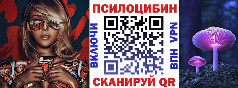 Купить закладки  Западная Двина  Псилоцибиновые грибы Psilocybine cubensis 
