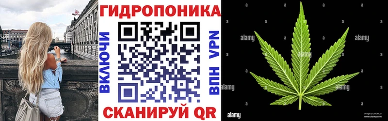 Конопля VHQ Западная Двина